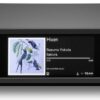 Cambridge Audio CX-N100 SE (special edition)